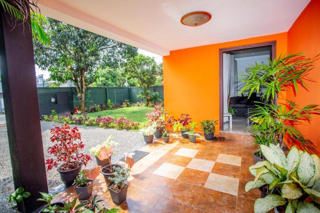 Hotel Blue Bird Negombo Kültér fotó